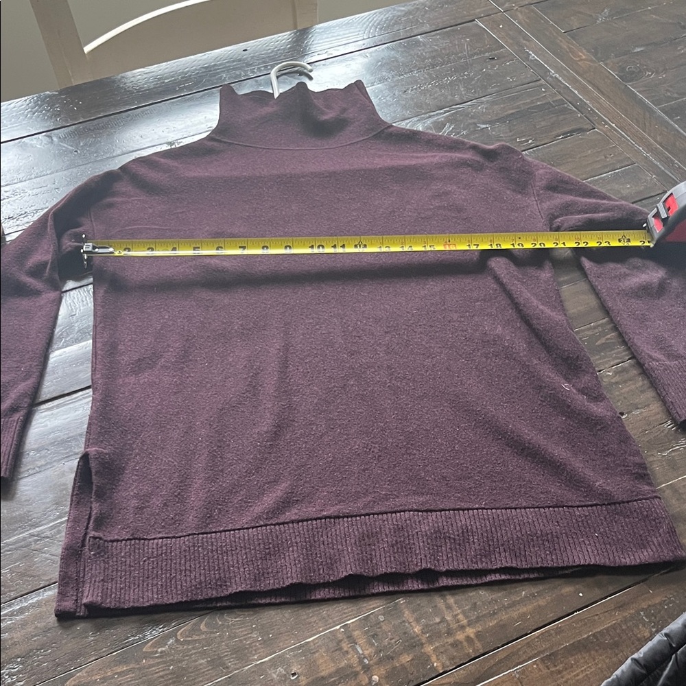 Turtleneck Sweater in Deep Plum